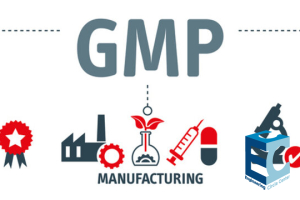 Good Manufacturing Practices (GMP)